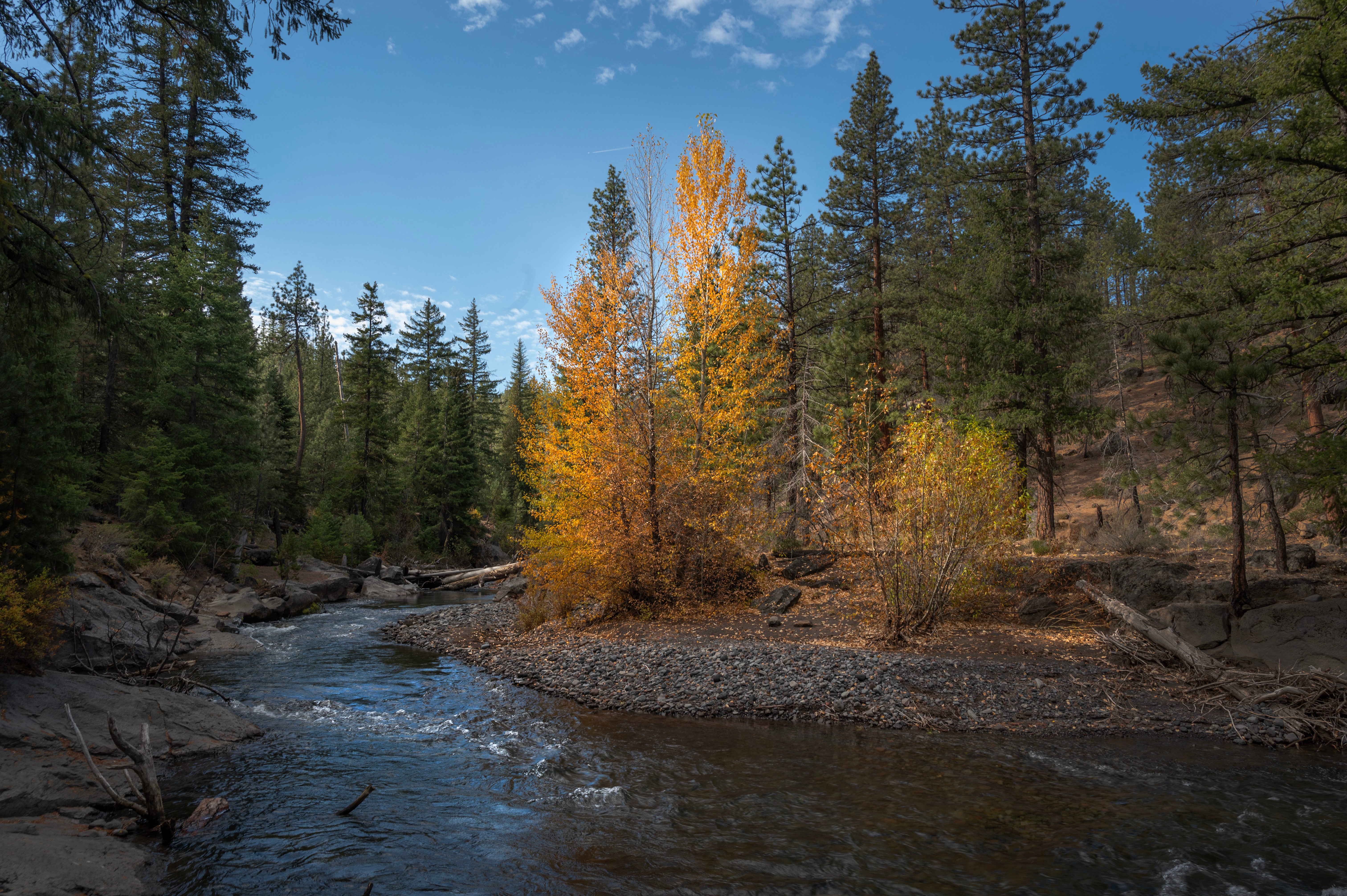 Wikiup River in fall